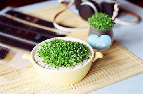 血液透析出现高磷高钙,PTH在500左右,怎么治疗?