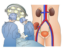 尿毒症透析多久换肾好