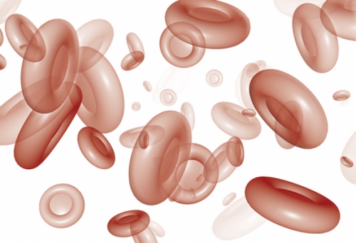 尿毒症透析贫血