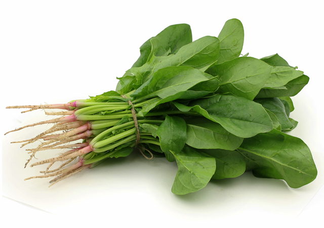 尿毒症患者不宜食用菠菜