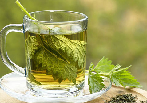 降低尿酸的荨麻茶