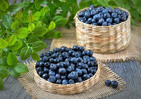 轻度尿毒症能吃或要吃蓝莓