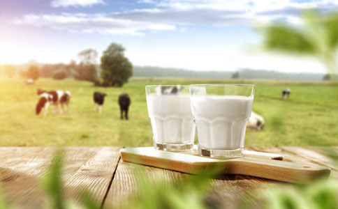 肾病尿毒症透析可以喝牛奶吗？