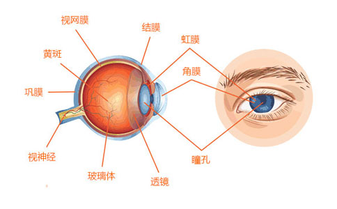 肾病透析患者眼睛干分泌物多怎么办？