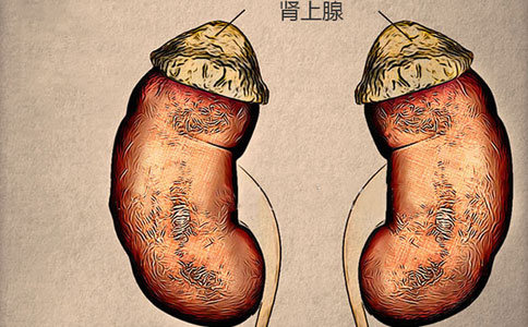 什么是肾上腺功能不全及分类症状原因治疗方法？