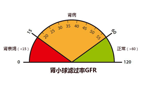 肾小球滤过率偏低严重怎么办如何提高GFR？