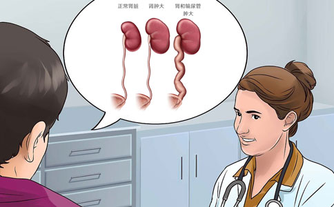 肾肿大是什么原因？