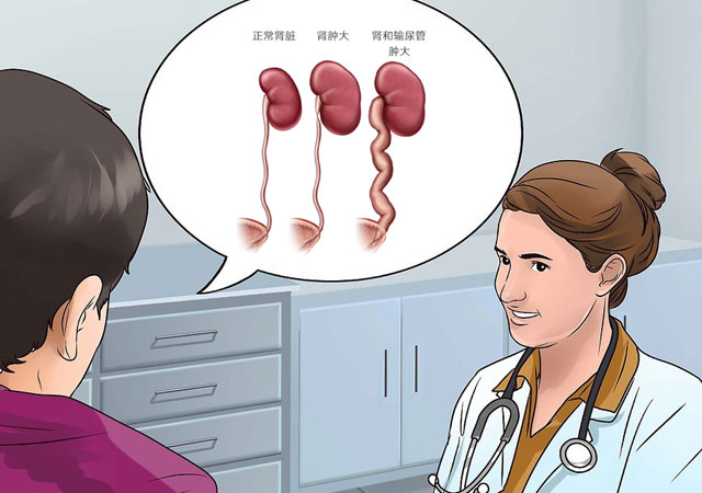 肾肿大是什么原因造成的