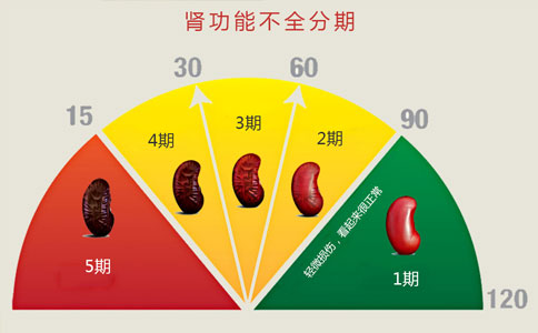 慢性肾功能不全分哪5期？