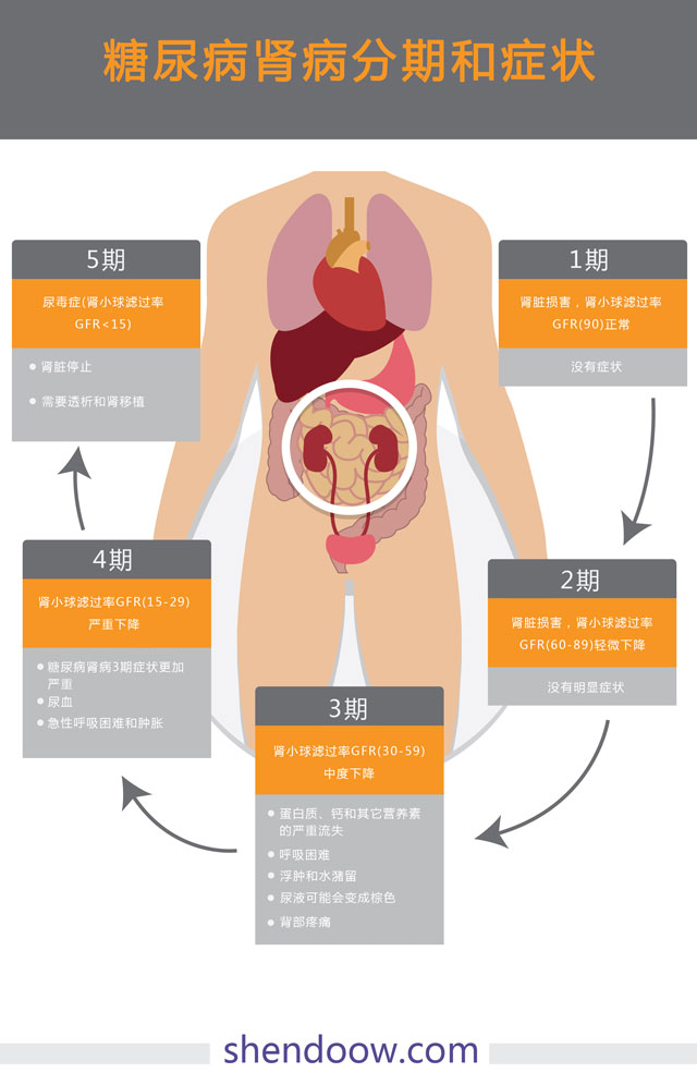 糖尿病肾病分期标准及症状图