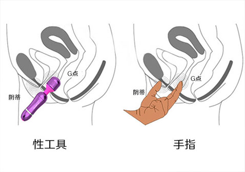 怎样用性工具或手指抠G点图解