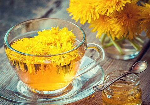 中药蒲公英茶有助于缓解肾疼