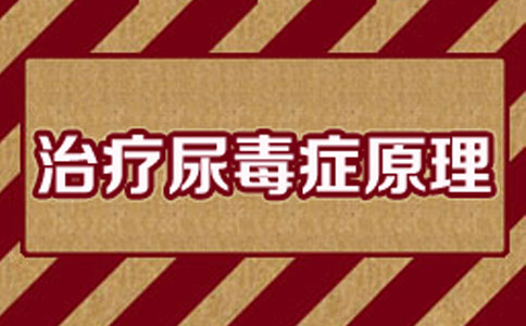 中医治疗尿毒症的原理