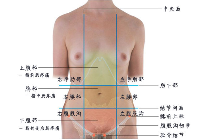 腹部九分法图片