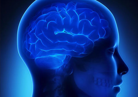 神经内科治疗什么图片包括脑和神经系统疾病
