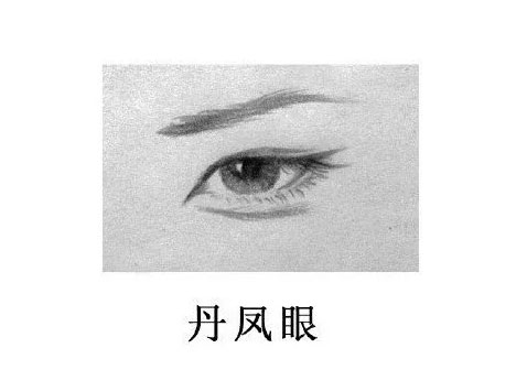 丹凤眼图片2