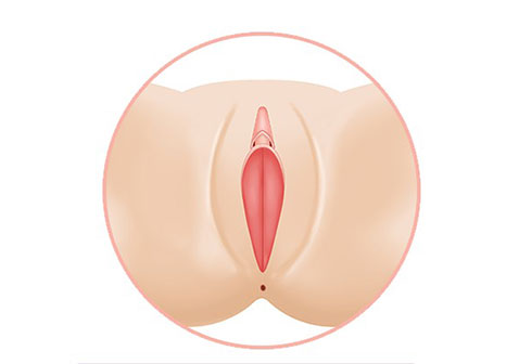 女性私密粉嫩图片
