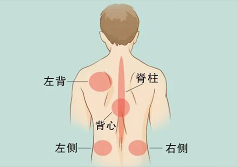 后背疼痛部位对照图表